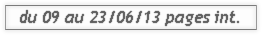 09au230613int.pdf